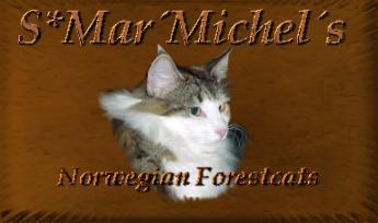 S*Mar'Michel's Norwegian Forest Cats