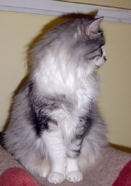 Tzarina in Jan 2005