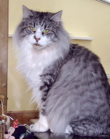 Tzarina in Jan 2005